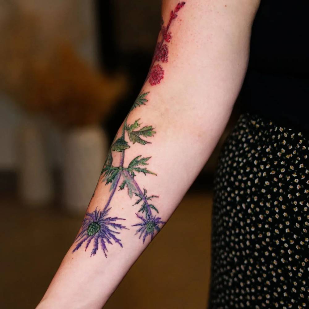 Embroidery style thistle tattoo located on the inner forearm.