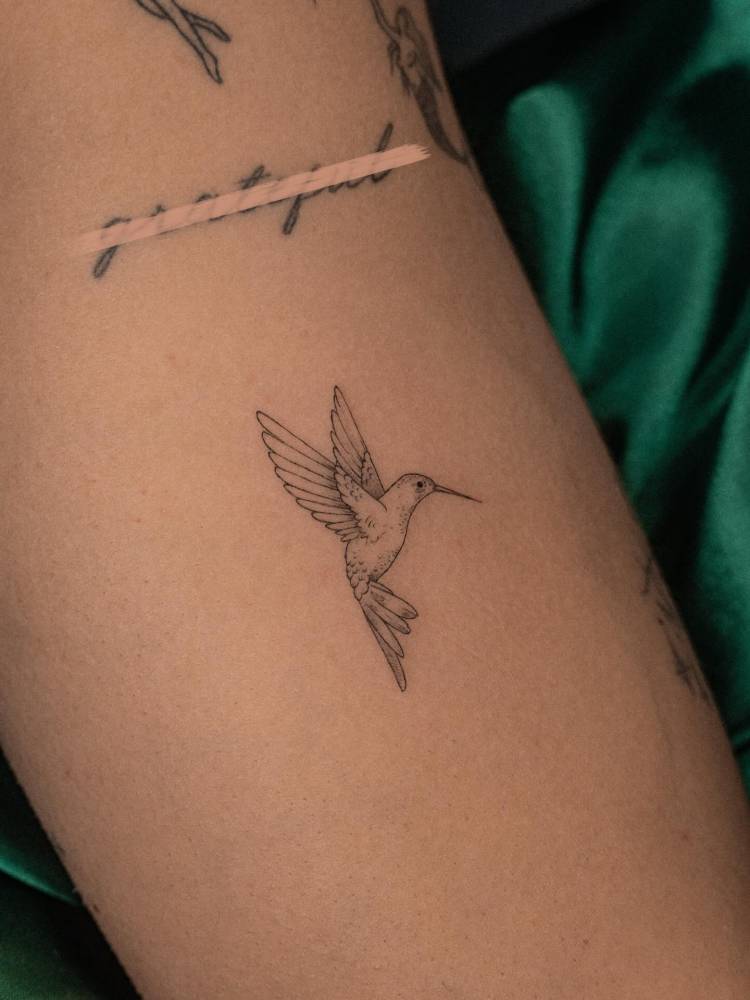 Hummingbird tattoo in illustrative style located on the upper arm.