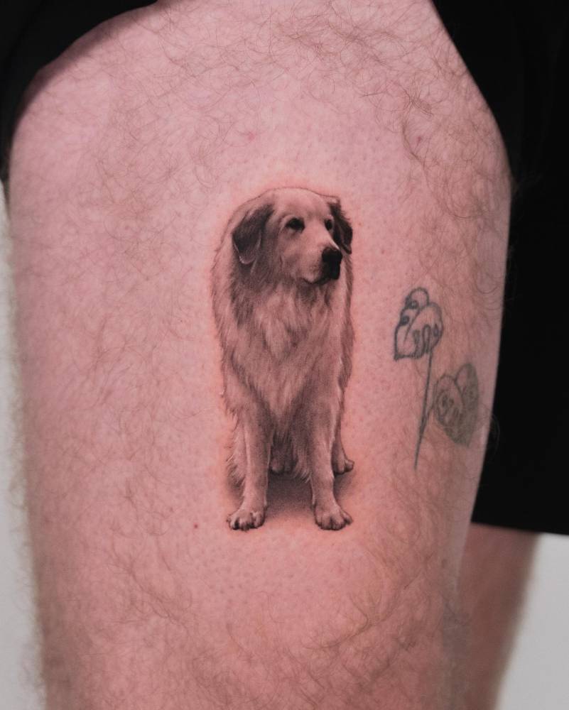 Pyrenean Mountain Dog tattoo located on the thigh.