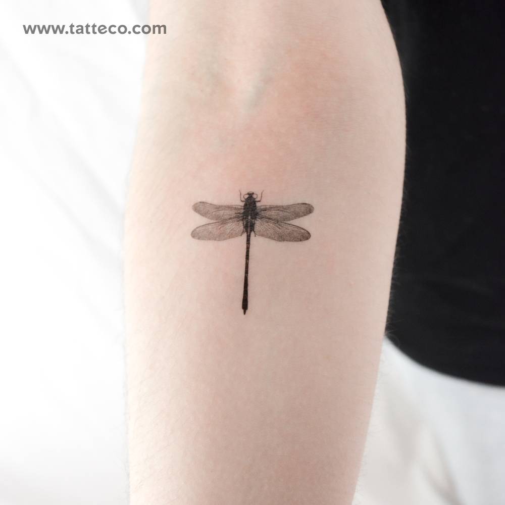 Small illustrative dragonfly temporary tattoo located on the inner forearm.