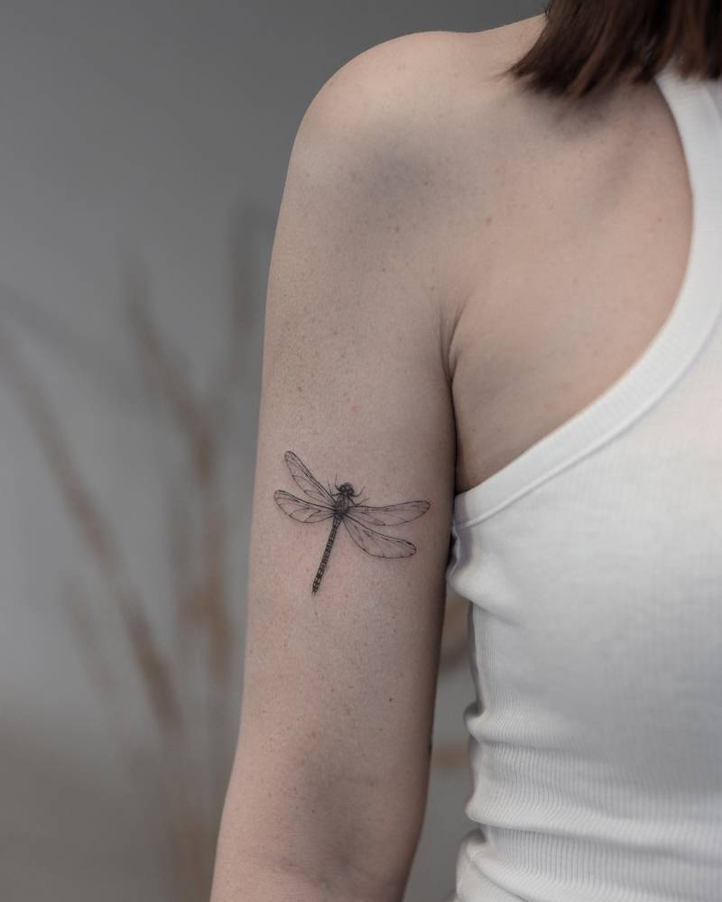 Dragonfly tattoo done on the upper arm, illustrative style.