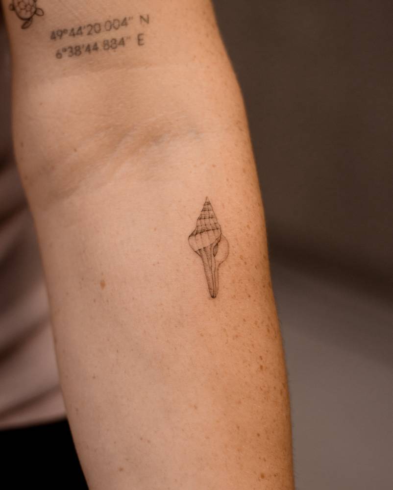 Tulip shell tattoo located on the inner forearm, illustrative style.