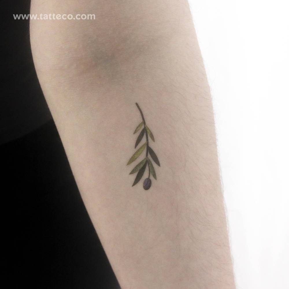 Small olive branch by Ann Lilya temporary tattoo.