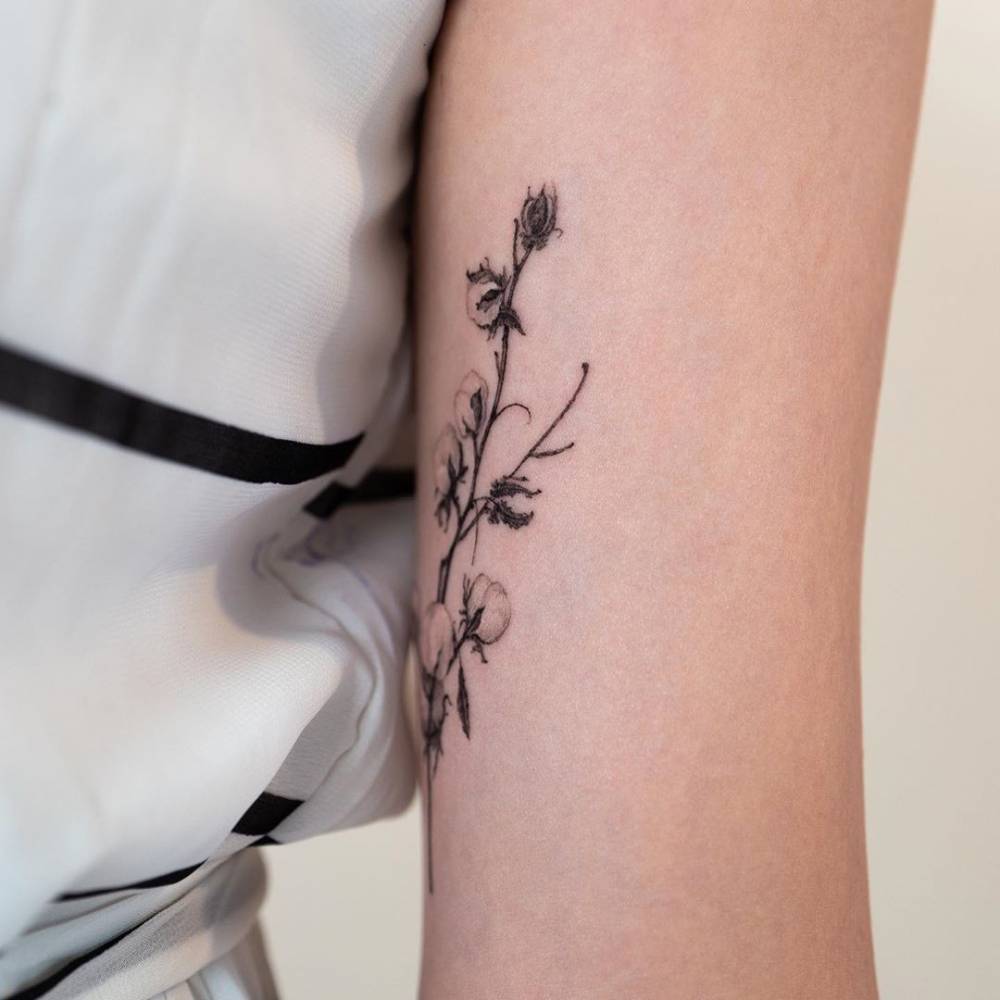 Cotton flowers tattoo on inner arm