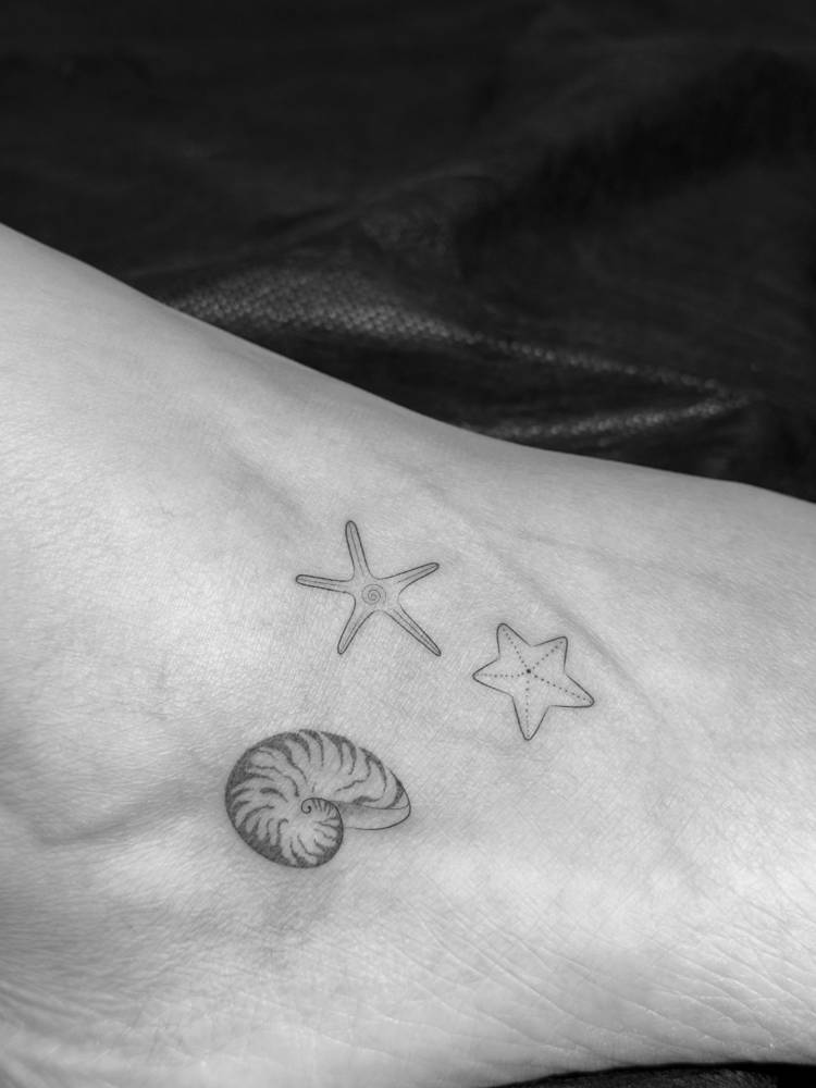 Starfish and nautilus shell tattoo located on the foot, fine line style.