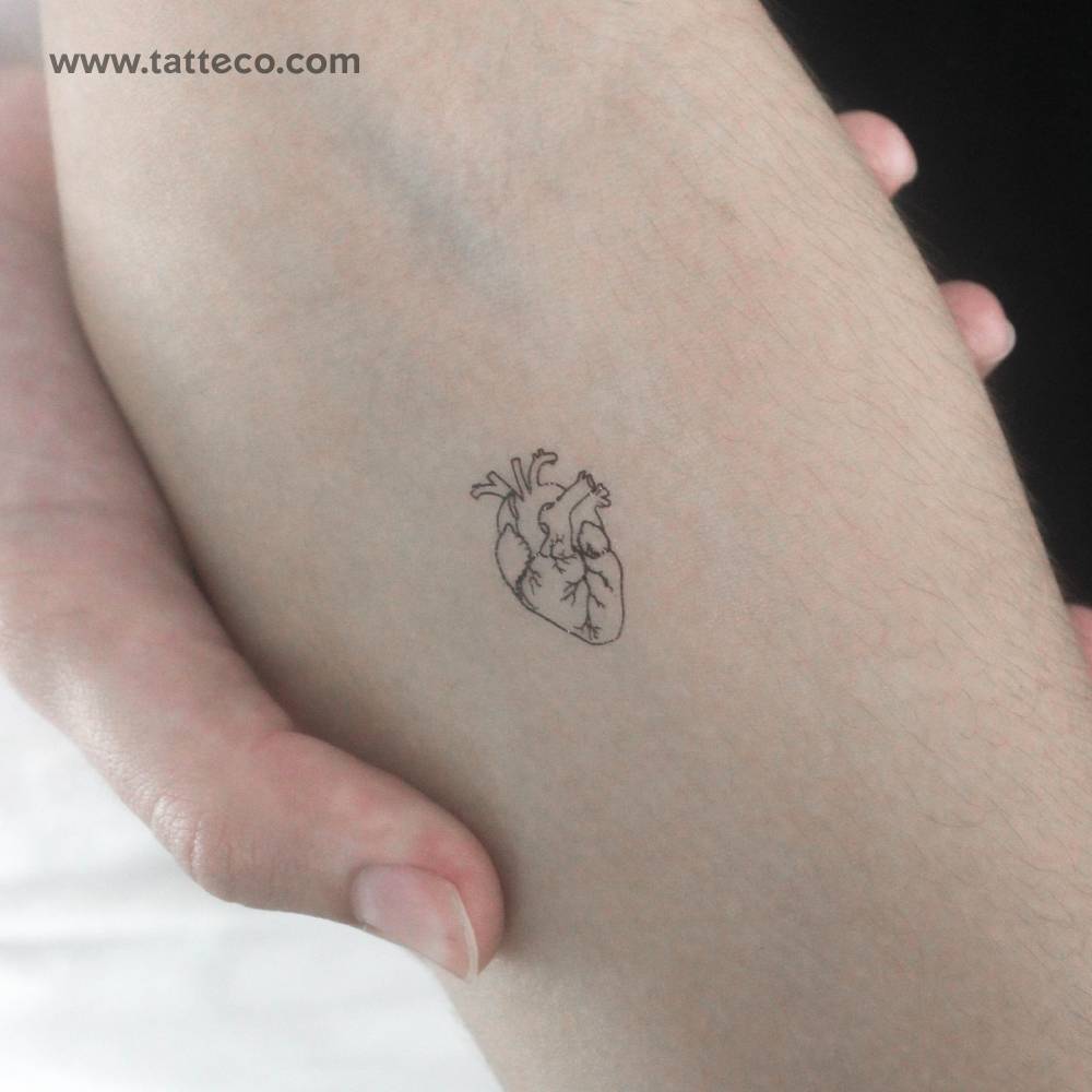 Small anatomical heart temporary tattoo in fine line style.