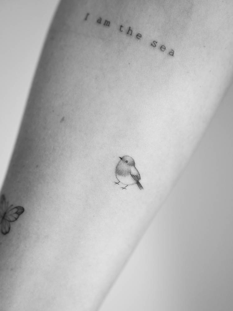 Tiny robin bird tattoo located on the inner forearm.