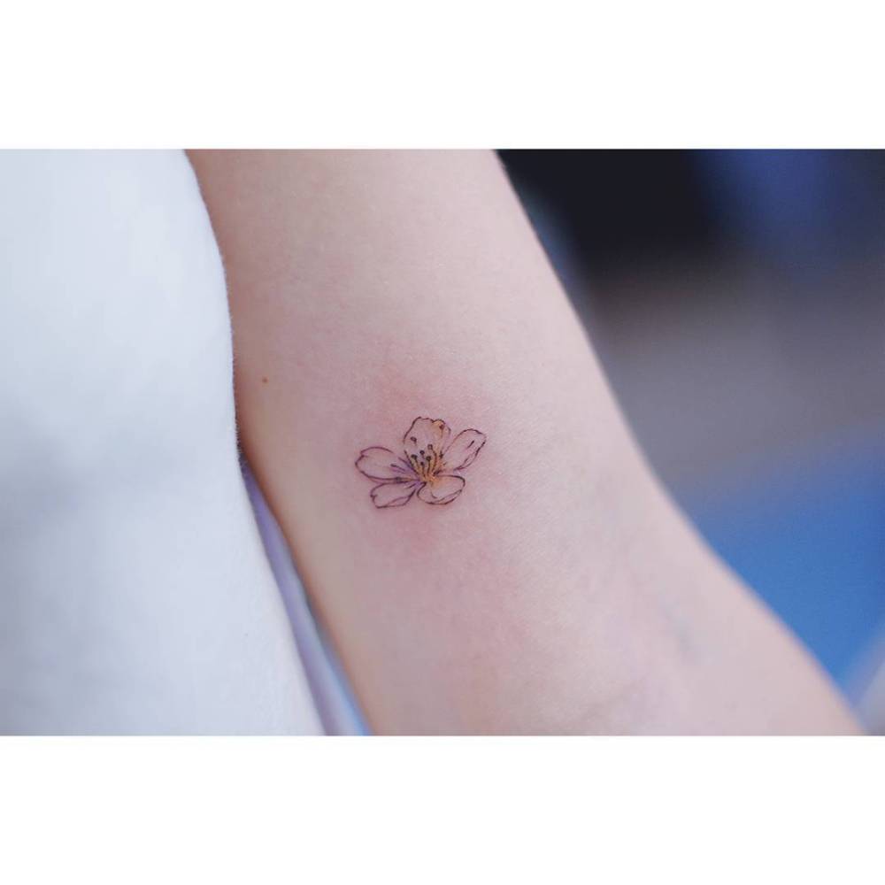 Little cherry blossom tattoo in illustrative style located on the inner arm.