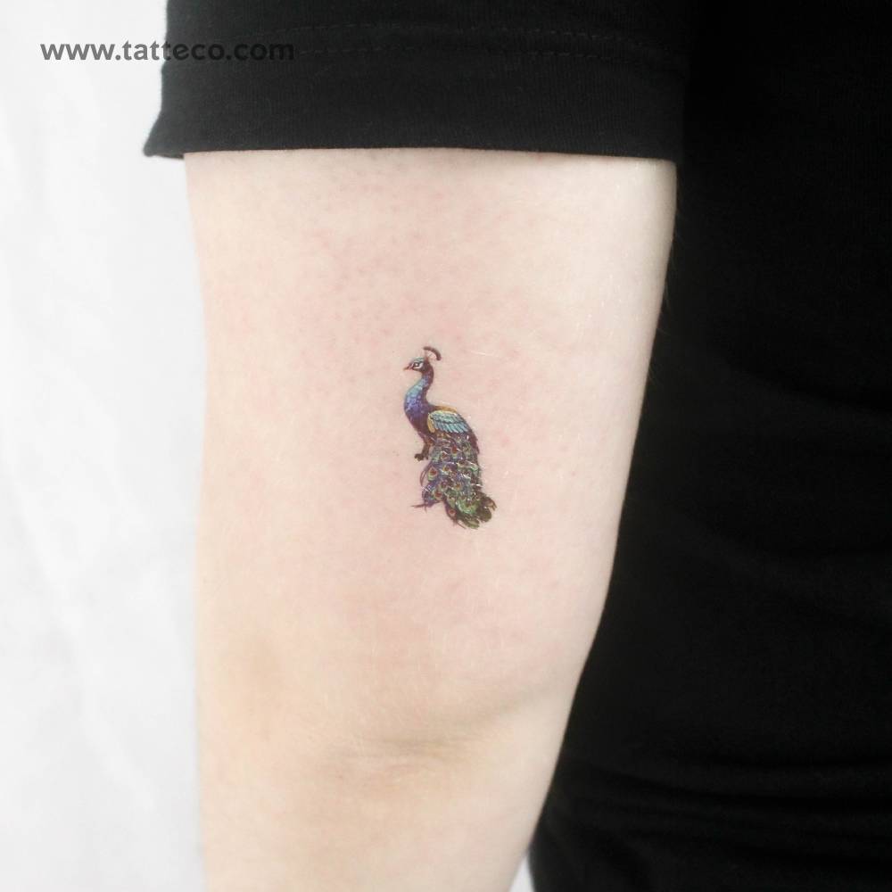Peacock temporary tattoo in illustrative style.