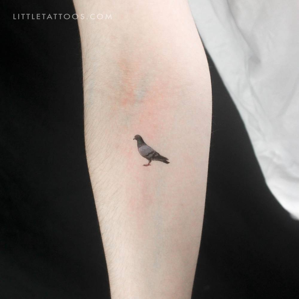 Micro-realistic style pigeon temporary tattoo located on the inner forearm.