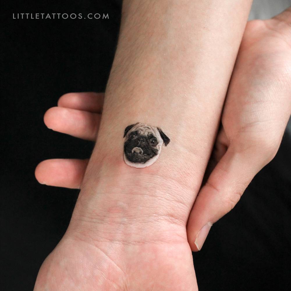 Micro-realistic style Pug portrait temporary tattoo.