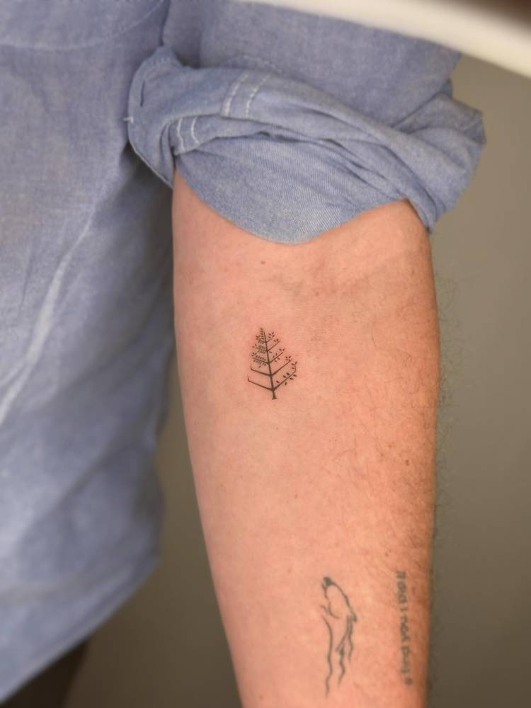 Little pine tree tattoo in fine line style located on the inner forearm.