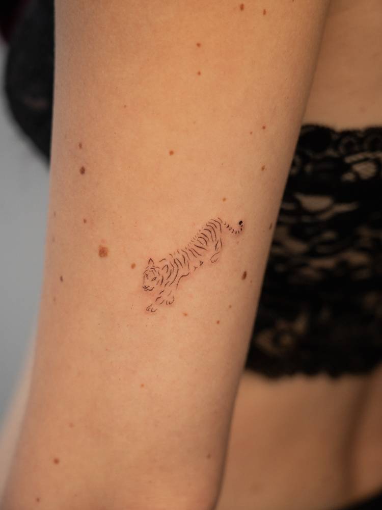 Little tiger tattoo in fine line style located on the tricep.