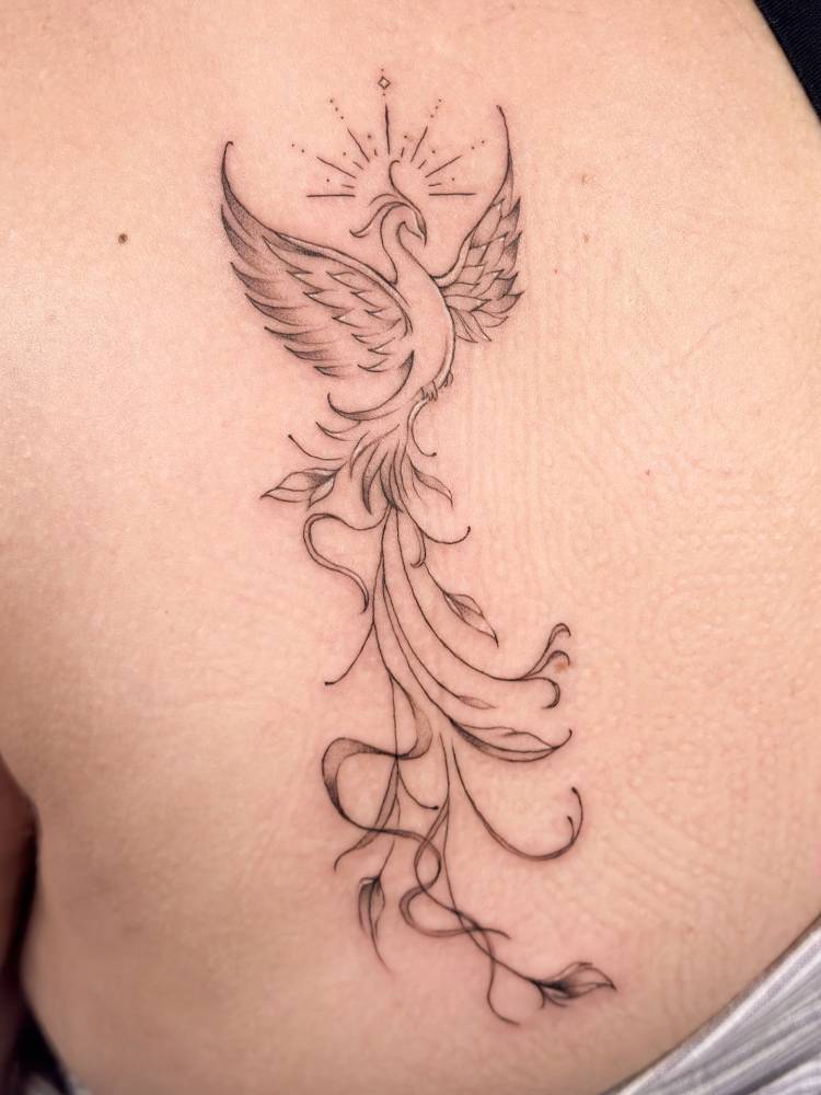 Illustrative style phoenix tattoo placed on the shoulder blade.