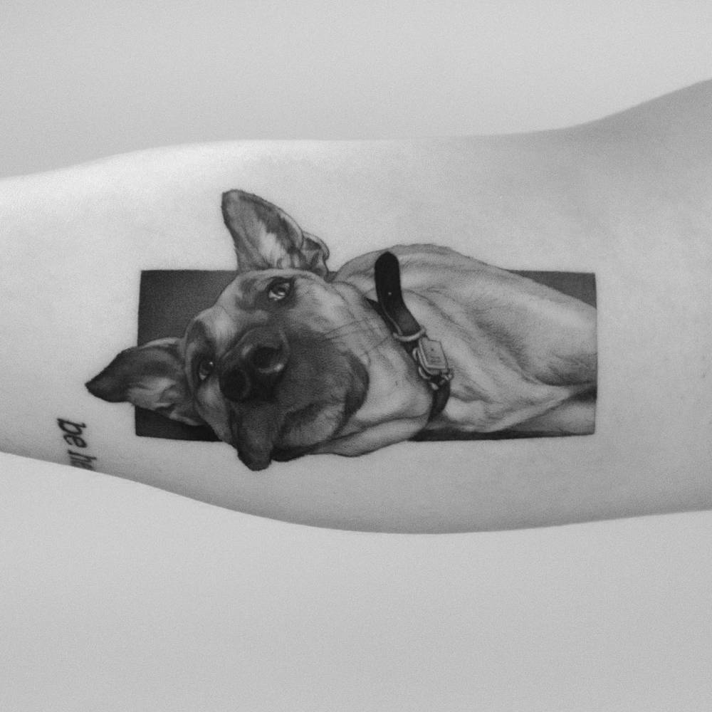 German Shepherd tattoo in micro-realistic style placed on the inner arm.