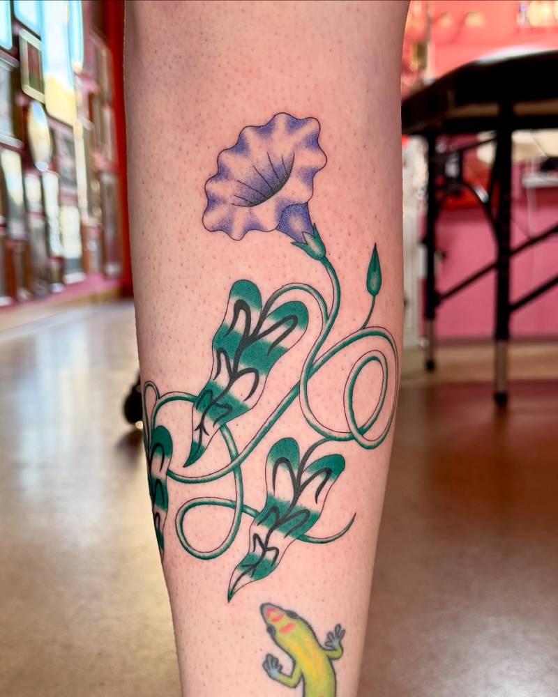 Illustrative style morning glory tattoo located on the shin.