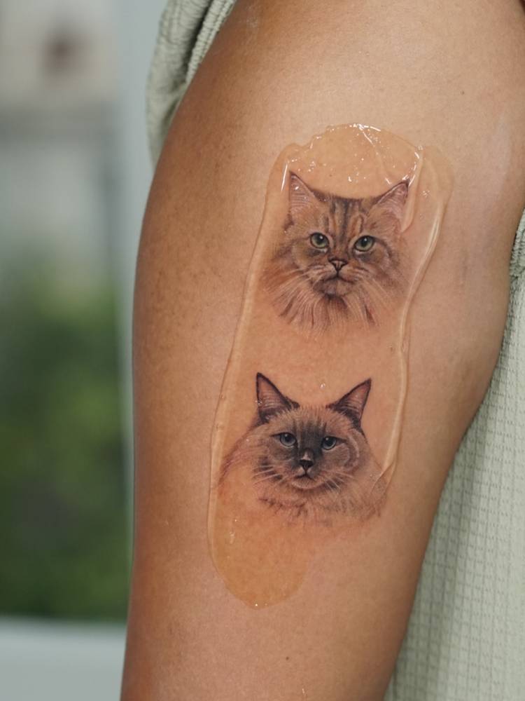 MIcro-realistic style cat portraits tattooed on the upper arm.