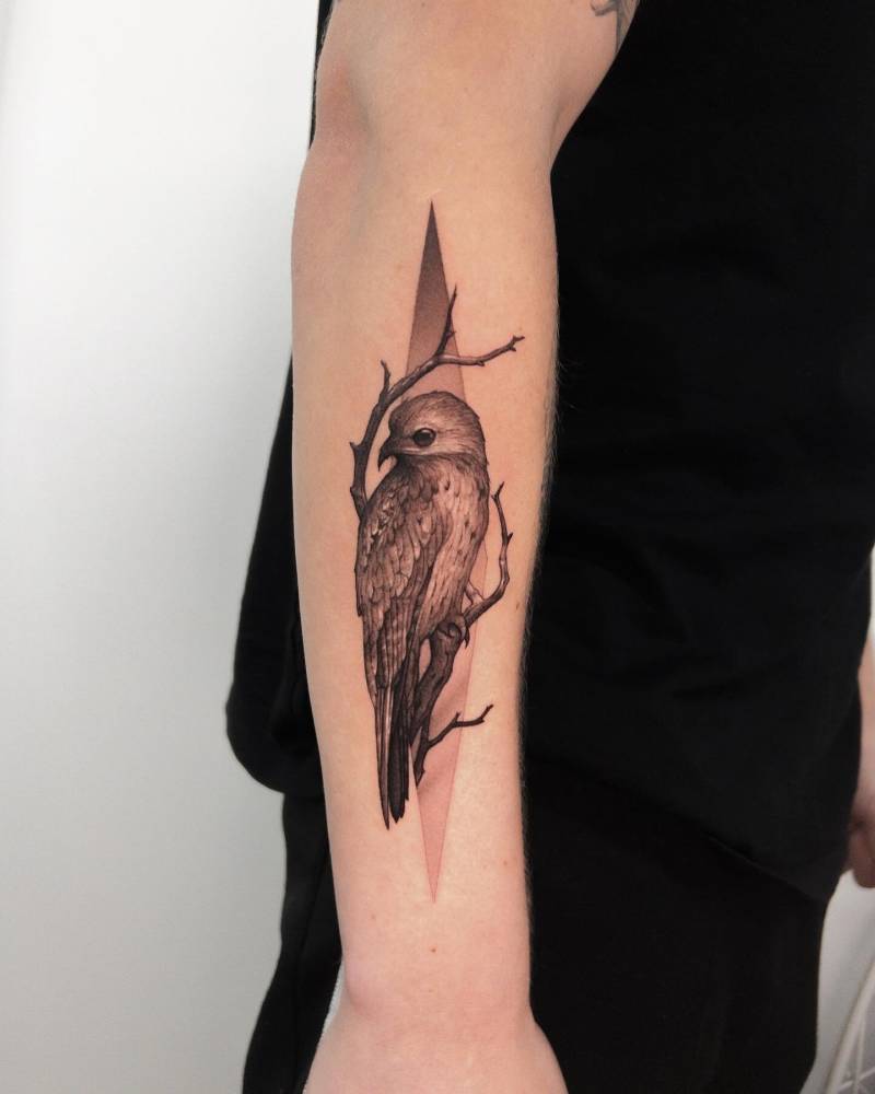 Great Potoo tattoo placed on the forearm, micro-realistic style.