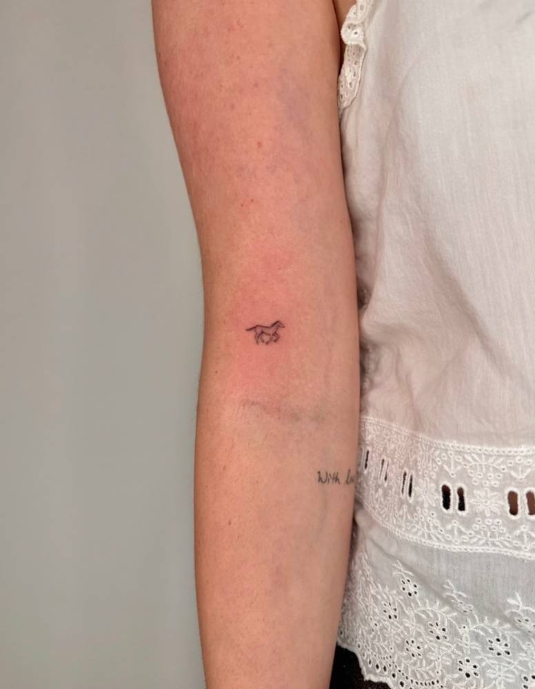 Tiny horse tattoo in illustrative style located on the bicep.