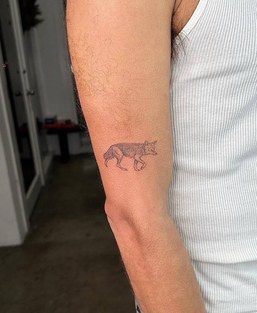 Illustrative style wolf tattoo placed on the upper arm.