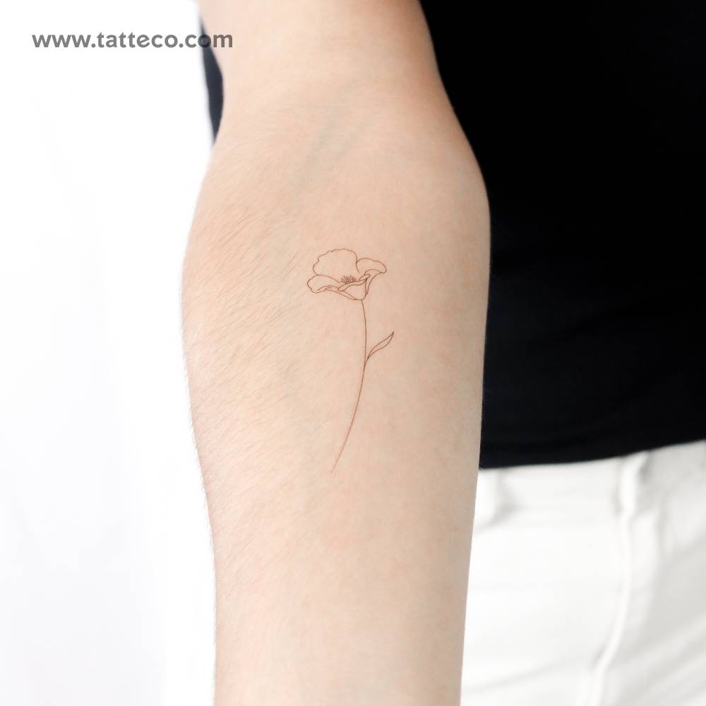 Fine line style poppy by Jakenowicz temporary tattoo