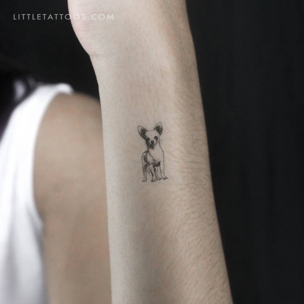 Little Chihuahua temporary tattoo placed on the wrist.