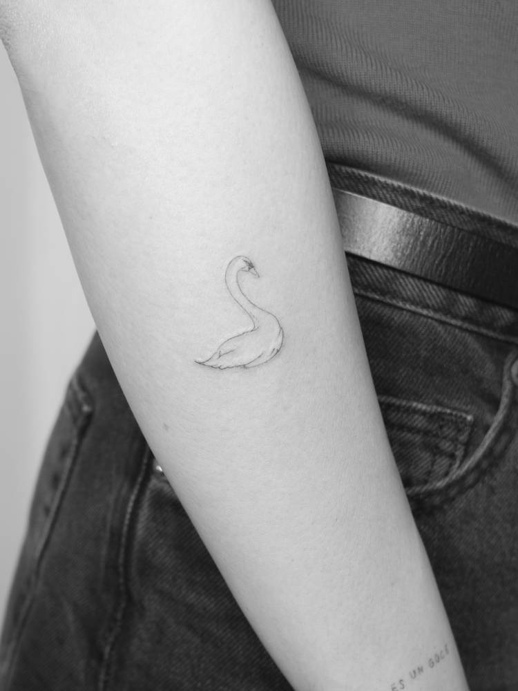 Swan in fine line style tattooed on the forearm.