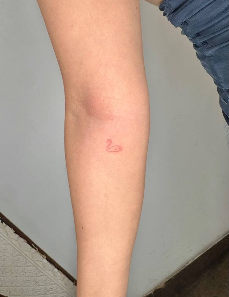 Tiny fine line swan tattoo located on the inner forearm.