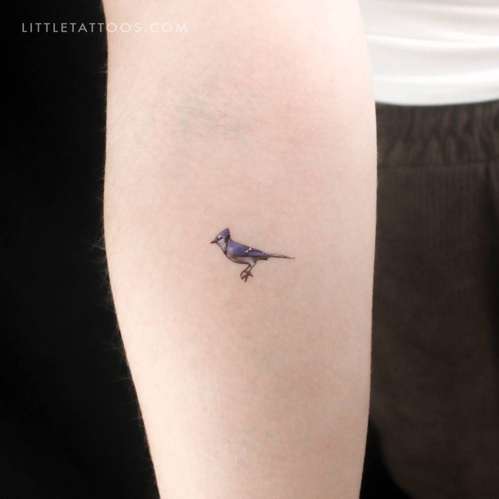 Blue jay temporary tattoo located on the inner forearm.