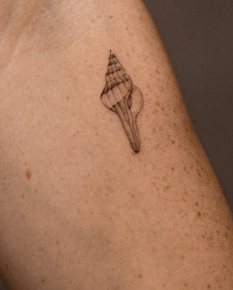 Illustrative style tulip shell tattoo located on the inner forearm.