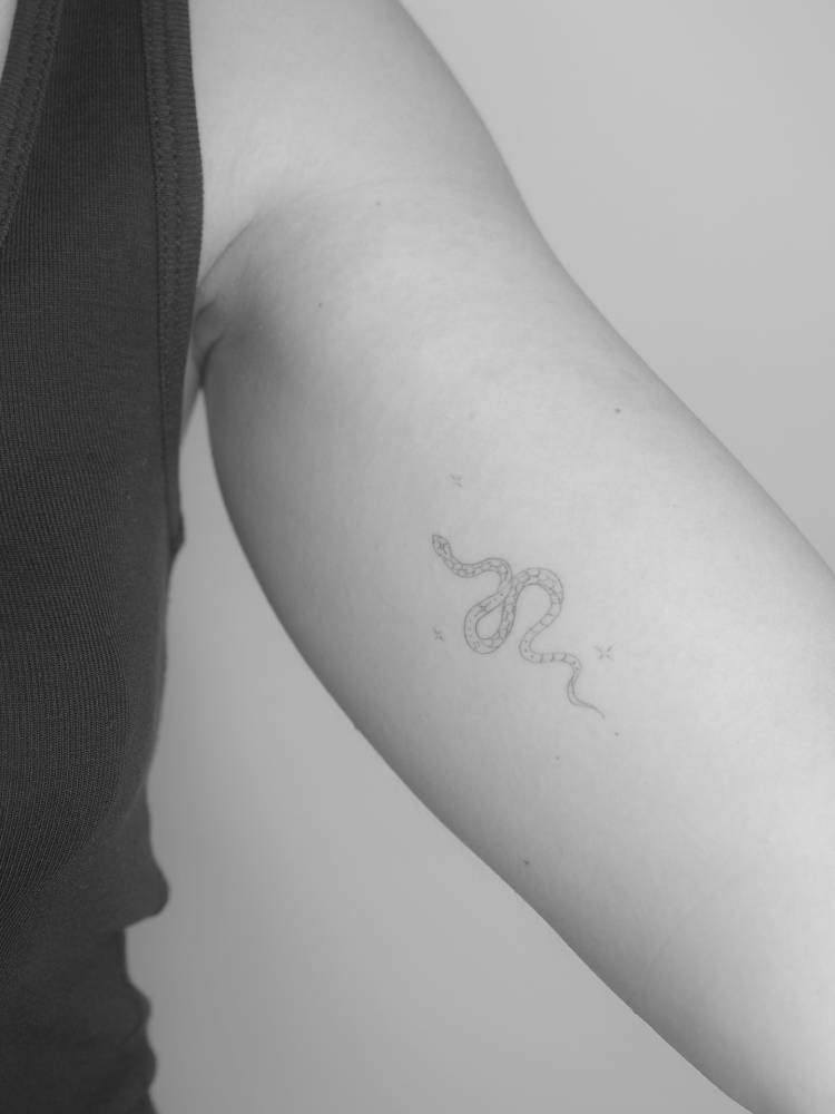 Little snake tattoo in fine line style placed on the inner arm.