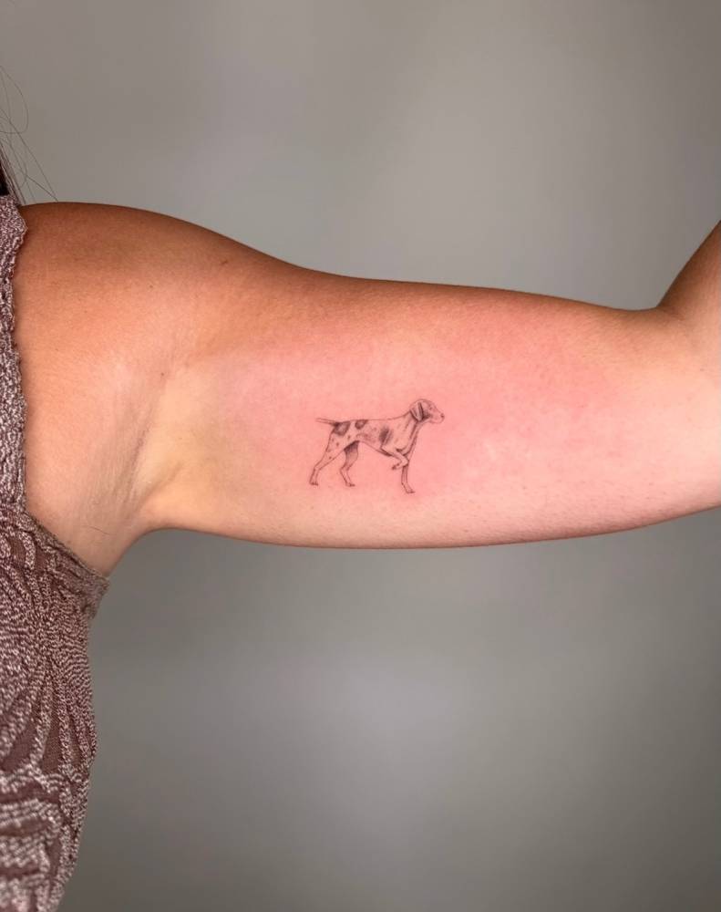 Pointer tattoo in illustrative style located on the inner arm.