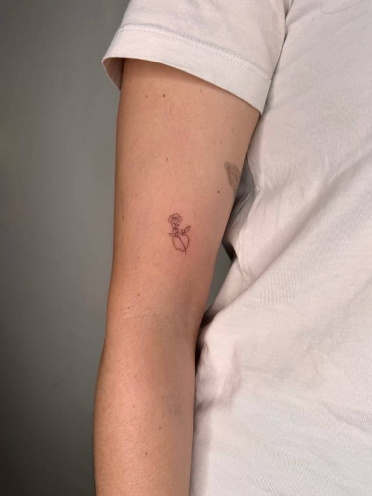 Little rose and apple tattoo in fine line style located on the upper arm.