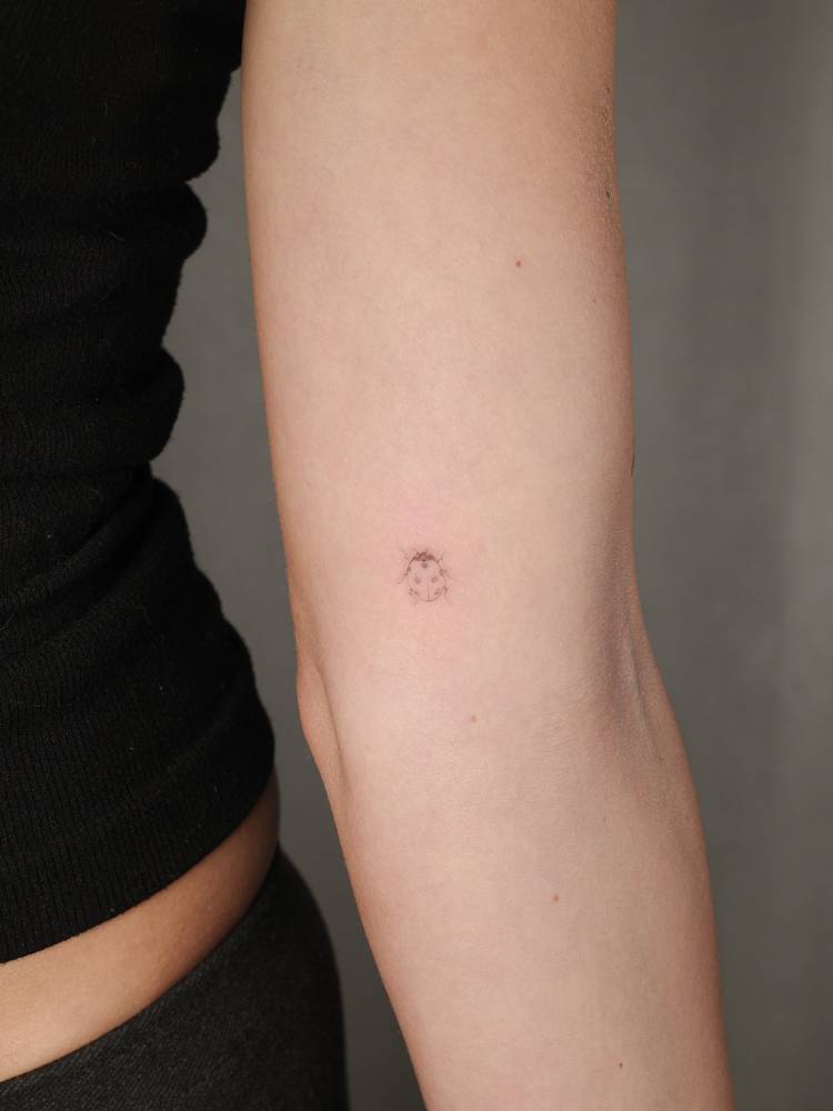 Tiny ladybug tattoo located on the inner arm, illustrative style.