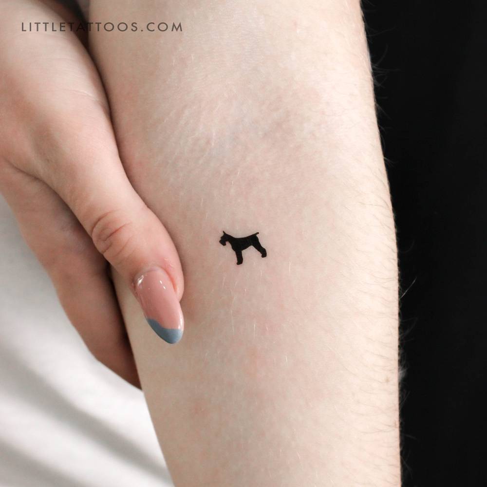 Small Schnauzer temporary tattoo placed on the inner forearm.