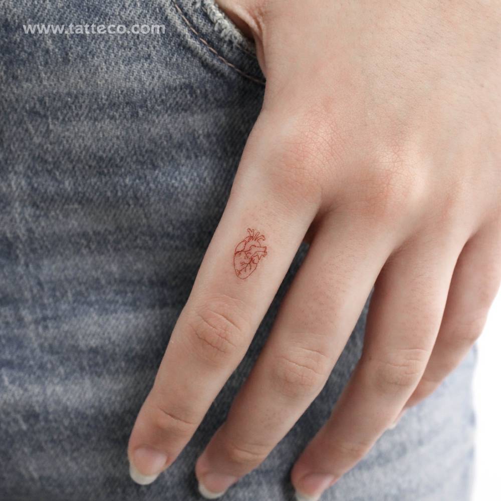 Tiny fine line red anatomical heart temporary tattoo.