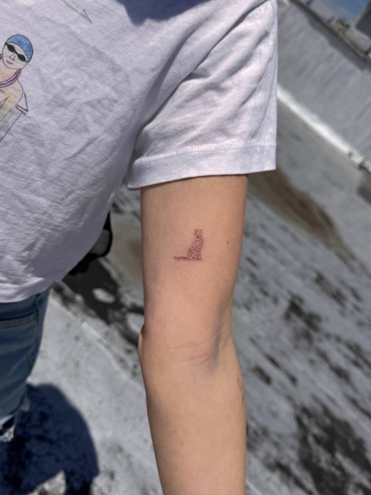 Single needle cheetah tattoo placed on the inner arm.