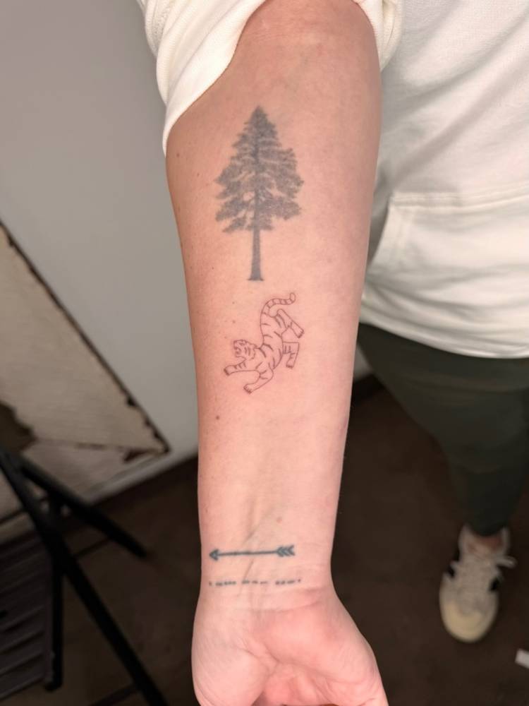 Fine line style tiger tattoo located on the inner forearm.