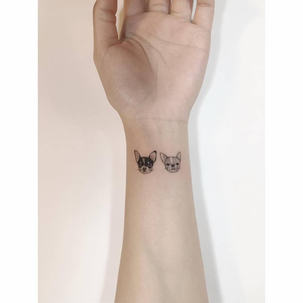 Chihuahua portrait tattooed on the wrist, illustrative style.