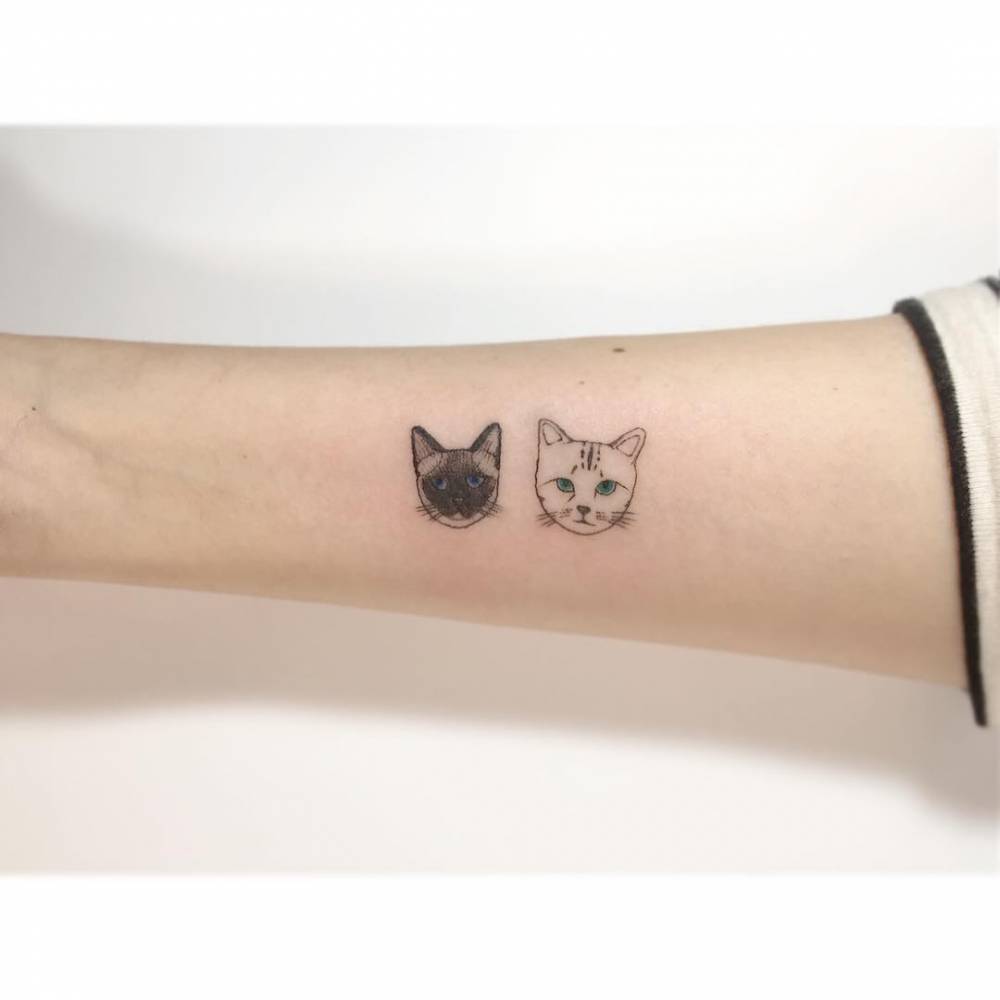 Cats portrait tattoo in illustrative style done on the inner forearm.