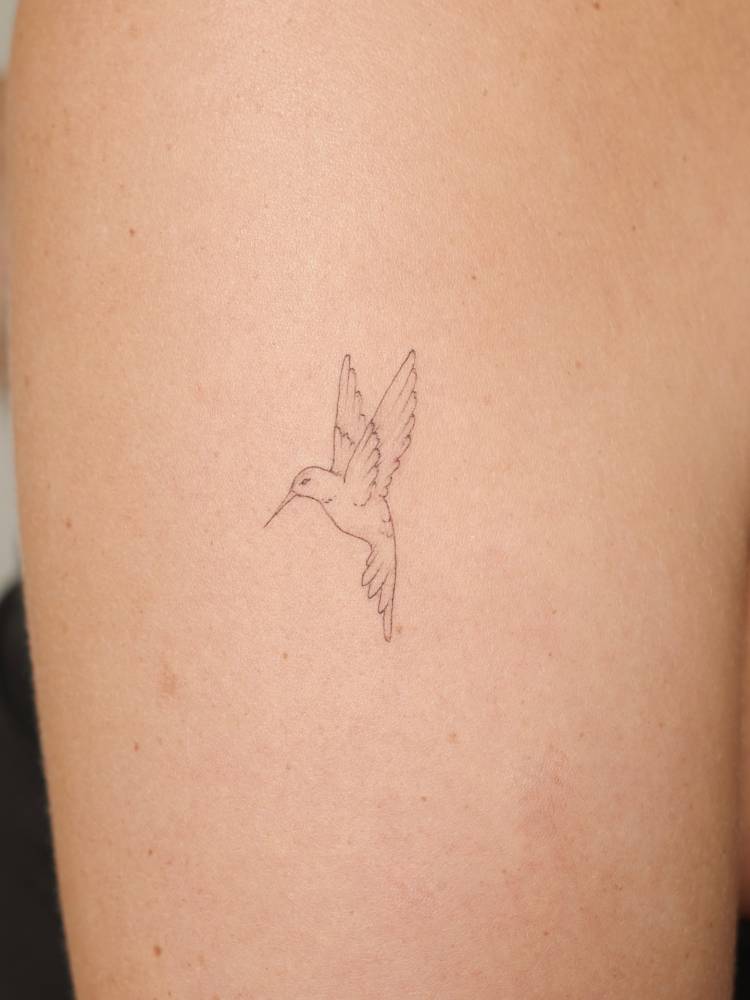 Fine line style hummingbird tattoo located on the upper arm.
