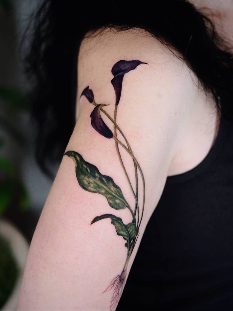 Calla lily tattoo in watercolor style located on the upper arm.