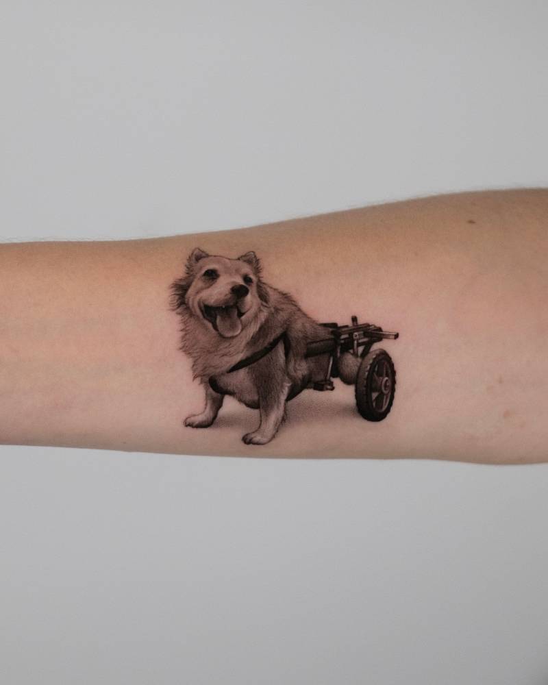 Pembroke Welsh Corgi using walking wheels tattooed on the inner forearm.