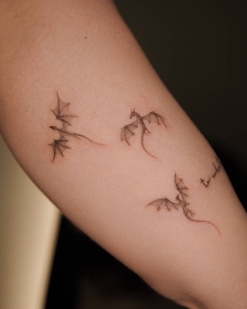 Illustrative style dragons tattoo located on the inner arm.