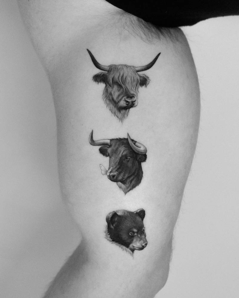 Highland cow, bull and bear tattoo located on the inner arm.