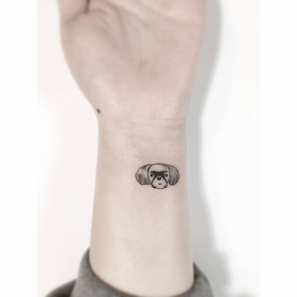 Shi Tzu portrait tattoo in illustrative style located on the wrist.