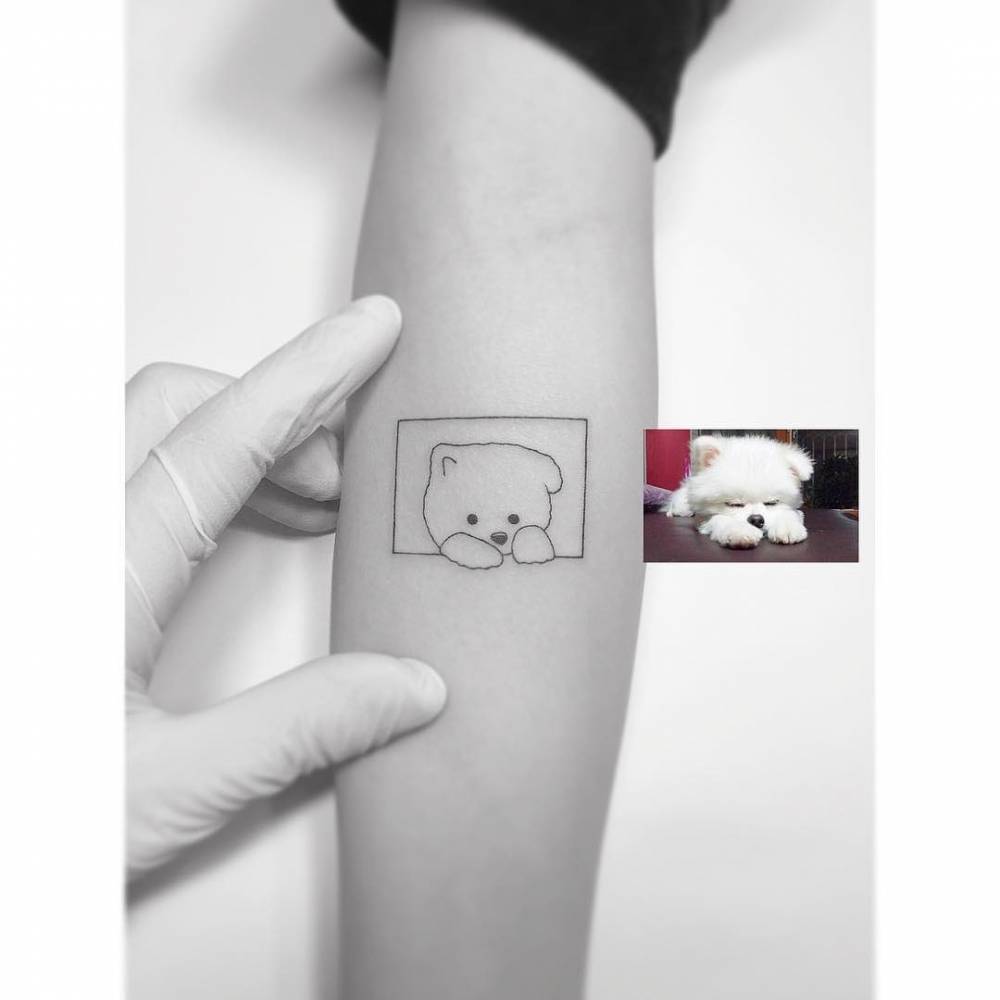 Pomeranian portrait tattoo in minimalistic style located on the inner forearm.