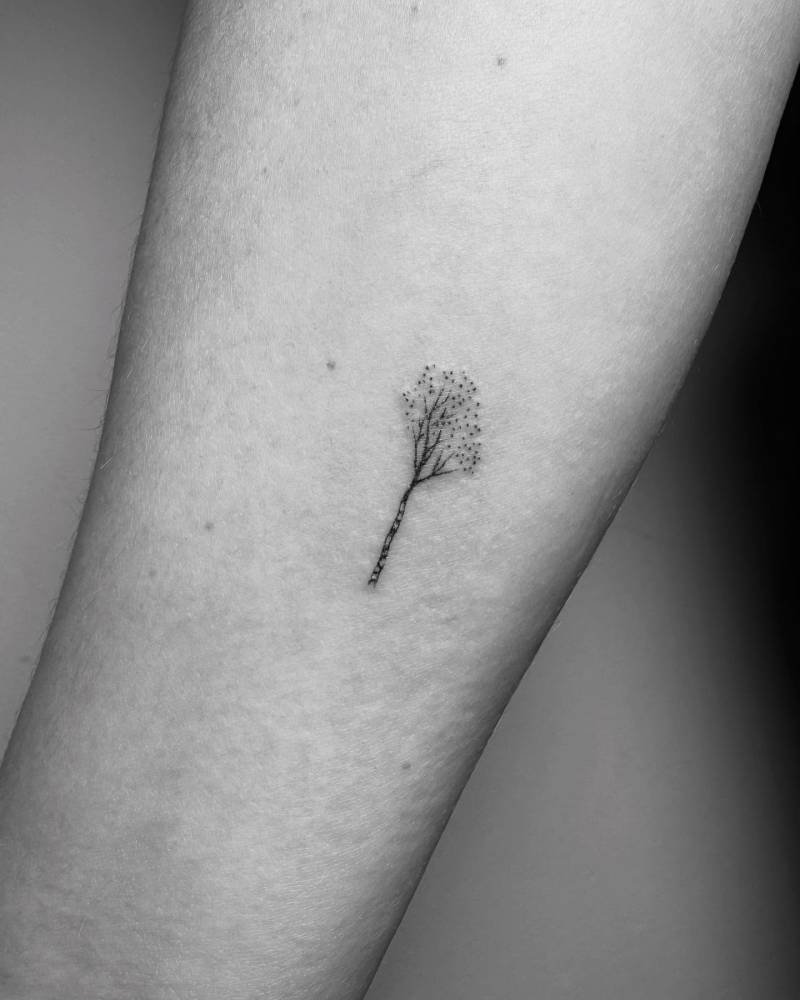 Single needle Aspen tree tattoo located on the inner forearm.