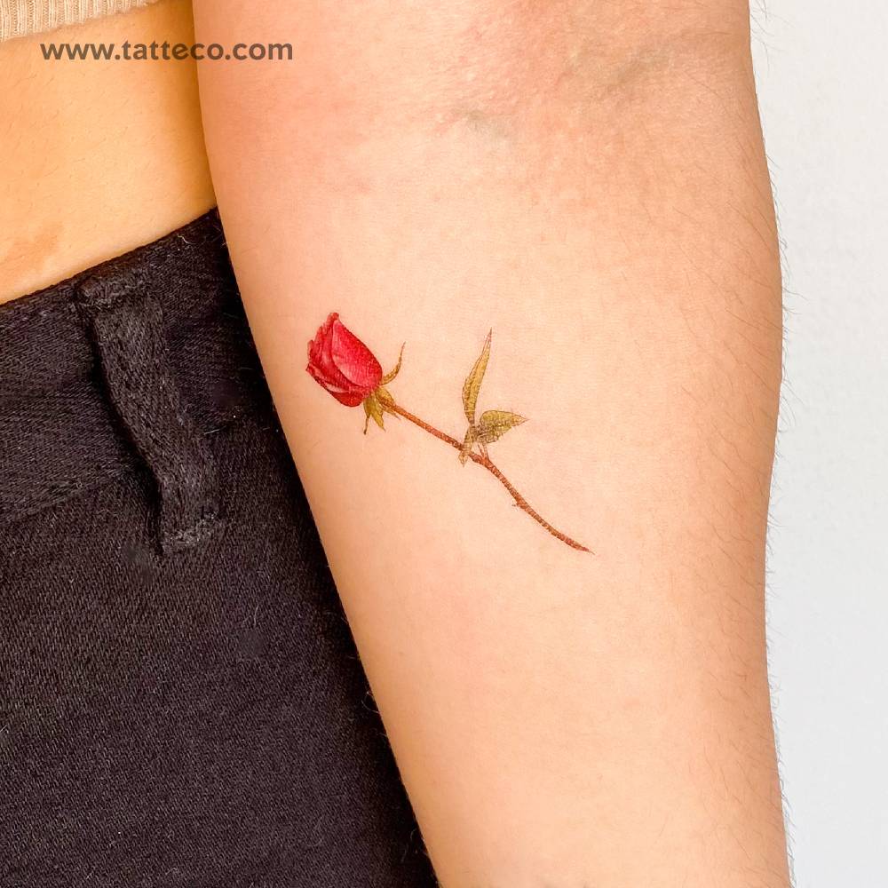 Illustrative style red rose temporary tattoo located on the inner forearm.