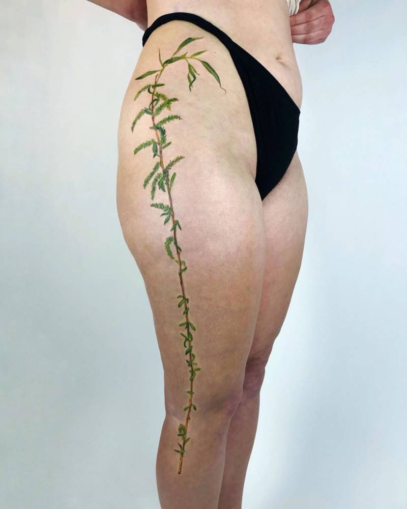 Weeping willow branch tattoo located on the leg.